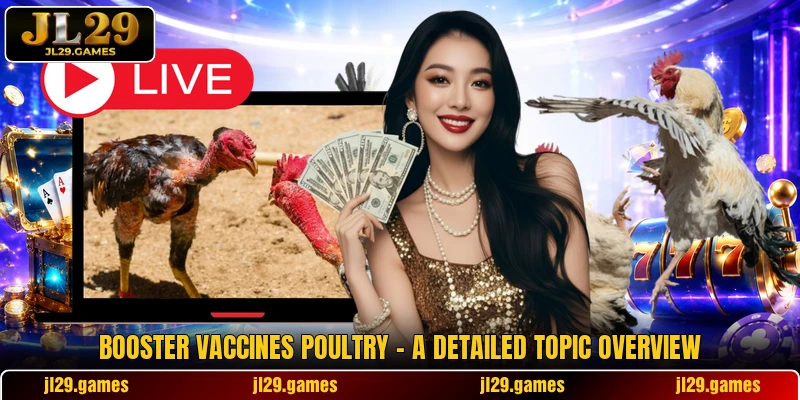 Booster Vaccines Poultry - A Detailed Topic Overview