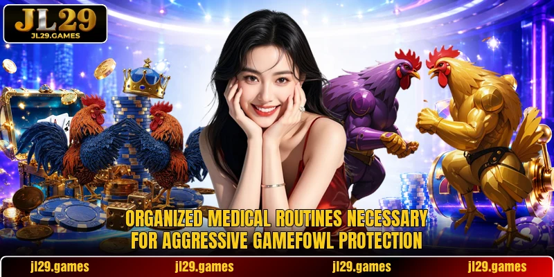 Organized medical routines necessary for aggressive gamefowl protection