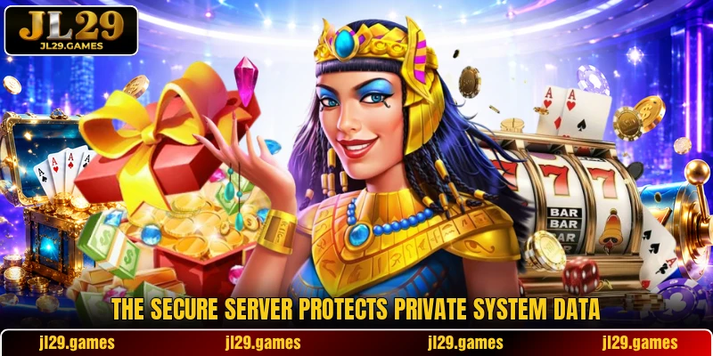 The secure server protects private system data